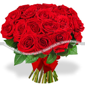 17 красных роз (70 см) - букет из красных роз